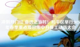 冲刺开门红 奋进正当时！和平区举行2025年春季重点项目集中开复工动员大会