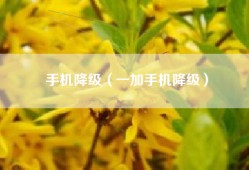 手机降级（一加手机降级）