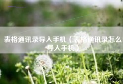表格通讯录导入手机（表格通讯录怎么导入手机）