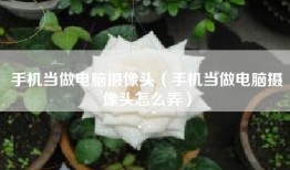 手机当做电脑摄像头（手机当做电脑摄像头怎么弄）
