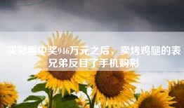 买彩票中奖946万元之后，卖烤鸡腿的表兄弟反目了手机购彩
