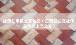 社保在手机上怎么交（灵活就业交社保在手机上怎么交）