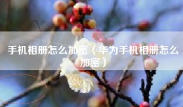 手机相册怎么加密（华为手机相册怎么加密）