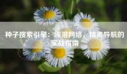 种子搜索引擎：深潜网络，精准导航的实战指南