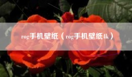 rog手机壁纸（rog手机壁纸4k）