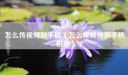 怎么传视频到手机（怎么传视频到手机相册）