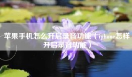 苹果手机怎么开启录音功能（iphone怎样开启录音功能）