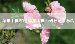 苹果手机PIN（苹果手机pin码忘记了怎么解锁）