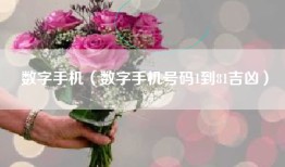 数字手机（数字手机号码1到81吉凶）