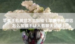 苹果手机微信怎么加锁（苹果手机微信怎么加锁不让人看聊天记录）