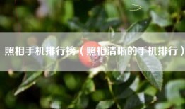 照相手机排行榜（照相清晰的手机排行）