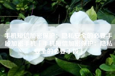 手机短信加密保护：隐私安全的必要手段加密手机「手机短信加密保护：隐私安全的必要手段」