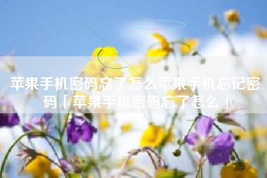 苹果手机密码忘了怎么苹果手机忘记密码「苹果手机密码忘了怎么」