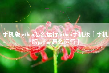 手机版python怎么运行python手机版「手机版python怎么运行」