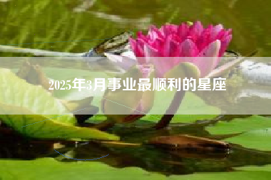2025年3月事业最顺利的星座