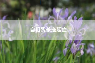 自相残杀拖延症