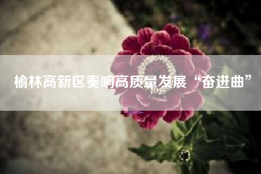榆林高新区奏响高质量发展“奋进曲”