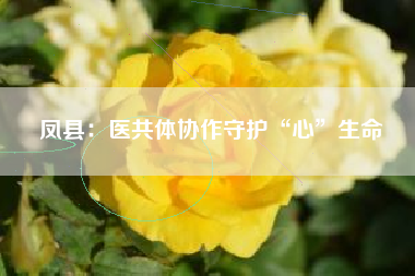 凤县：医共体协作守护“心”生命