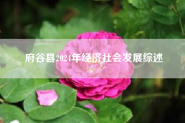府谷县2024年经济社会发展综述