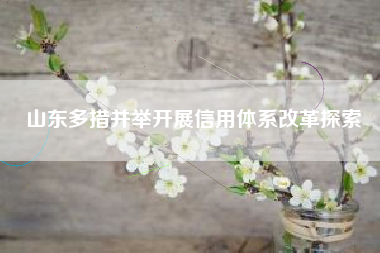 山东多措并举开展信用体系改革探索