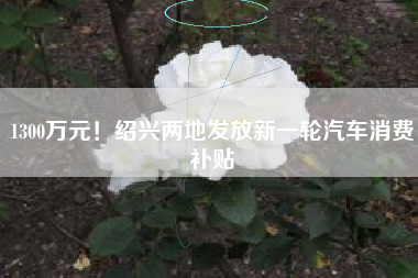 1300万元！绍兴两地发放新一轮汽车消费补贴