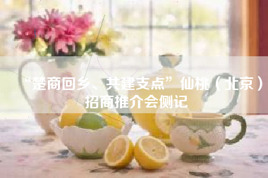 “楚商回乡、共建支点”仙桃（北京）招商推介会侧记