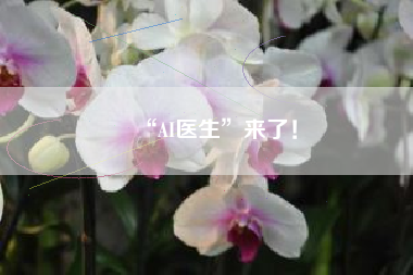 “AI医生”来了！