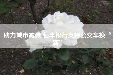 助力城市减碳 恒丰银行支持公交车换“新”
