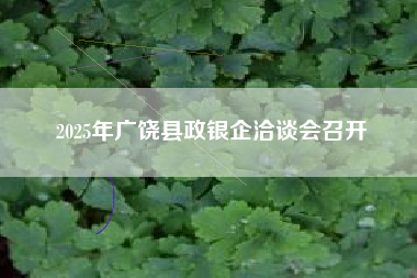 2025年广饶县政银企洽谈会召开