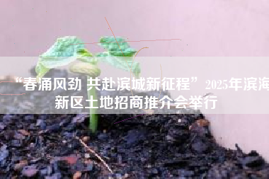 “春涌风劲 共赴滨城新征程”2025年滨海新区土地招商推介会举行