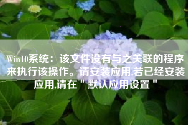 Win10系统：该文件没有与之关联的程序来执行该操作。请安装应用,若已经安装应用,请在＂默认应用设置＂