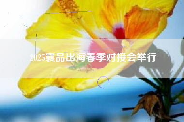 2025襄品出海春季对接会举行