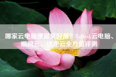 哪家云电脑便宜又好用？ToDesk云电脑、顺网云、达龙云全方位评测