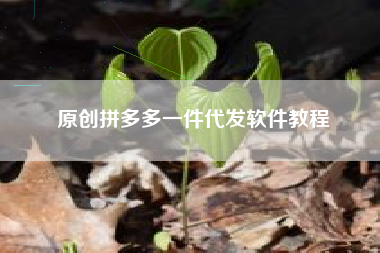 原创拼多多一件代发软件教程