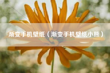 渐变手机壁纸（渐变手机壁纸小熊）