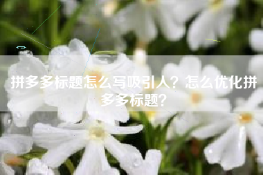 拼多多标题怎么写吸引人？怎么优化拼多多标题？