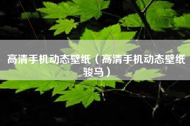 高清手机动态壁纸（高清手机动态壁纸骏马）