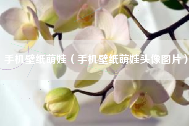 手机壁纸萌娃（手机壁纸萌娃头像图片）