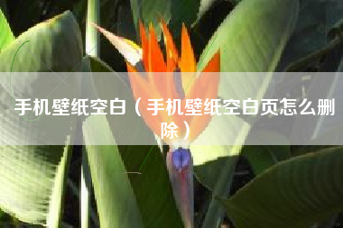 手机壁纸空白（手机壁纸空白页怎么删除）