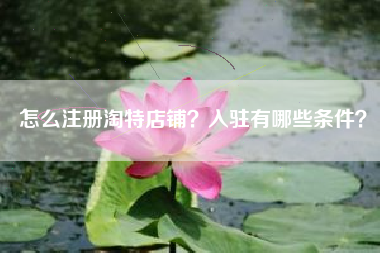 怎么注册淘特店铺？入驻有哪些条件？
