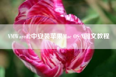VMWare12中安装苹果Mac OS X图文教程