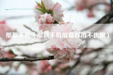 那款手机（那款手机屏幕好用不伤眼）