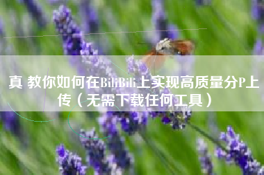 真 教你如何在BiliBili上实现高质量分P上传（无需下载任何工具）