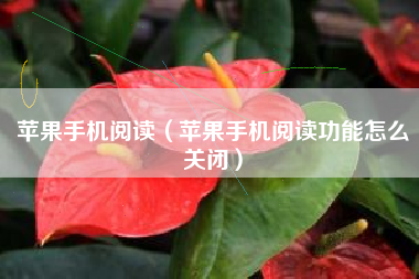 苹果手机阅读（苹果手机阅读功能怎么关闭）