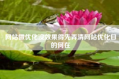 网站做优化没效果得先弄清网站优化目的何在