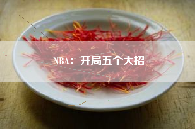 NBA：开局五个大招