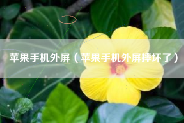 苹果手机外屏（苹果手机外屏摔坏了）