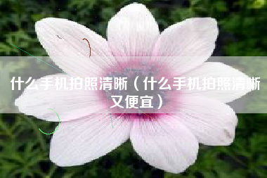 什么手机拍照清晰（什么手机拍照清晰又便宜）