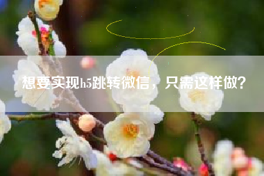 想要实现h5跳转微信，只需这样做？