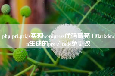 php pri,pri.js实现wordpress代码高亮+Markdown生成的pre／code免更改